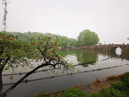 说明: IMG_20210411_144651
